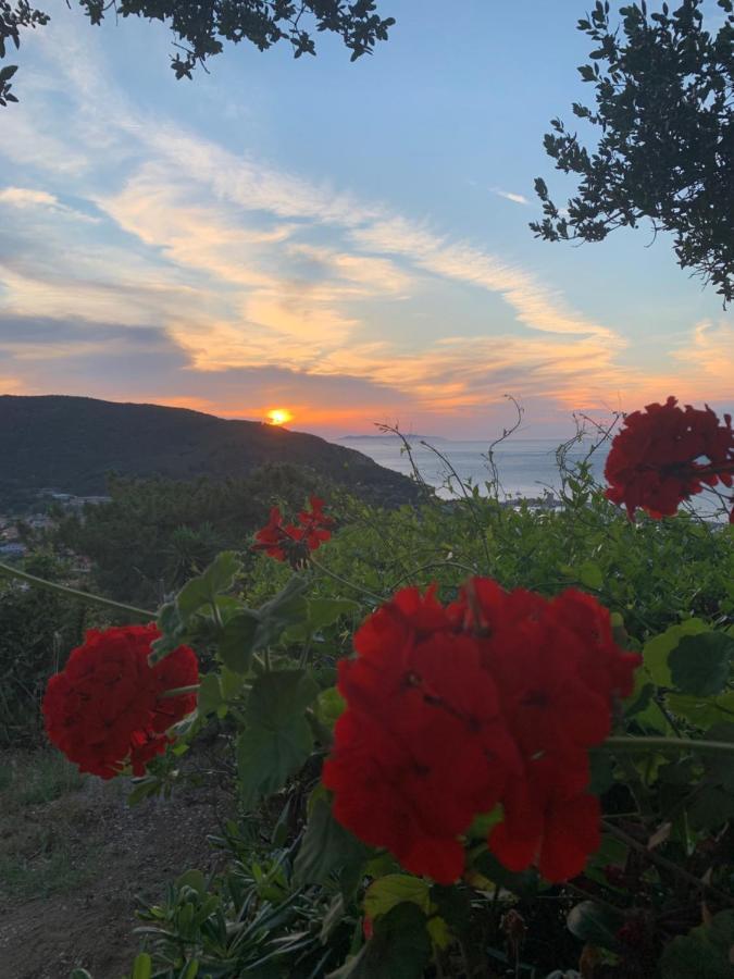 Alta Marina Daire Marciana Marina  Dış mekan fotoğraf